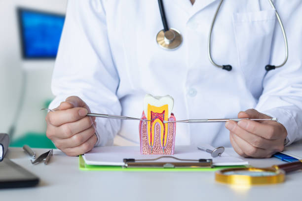 Best Broken Tooth Emergency  in Mchenry, IL